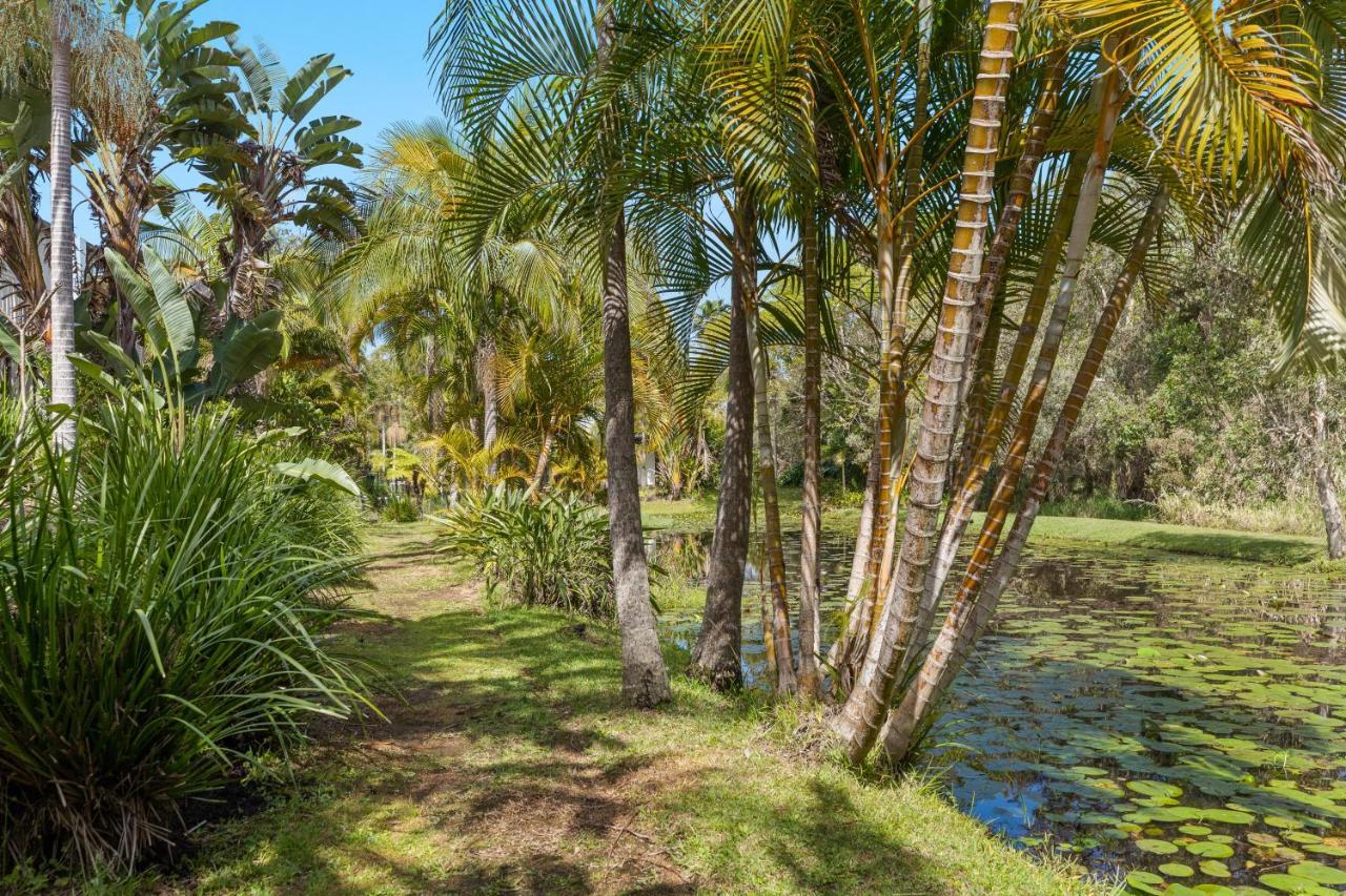 Treetops Lakeside Apartments Byron Bay Luaran gambar